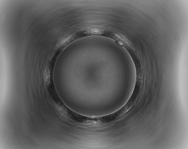 X0000087010552200704301420