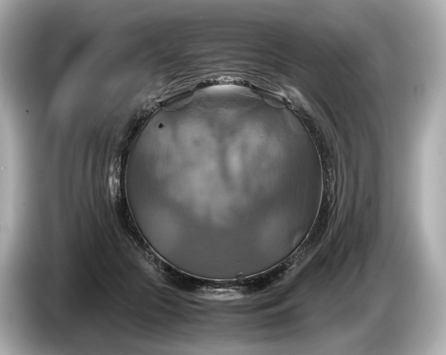 X0000087010553200704301420