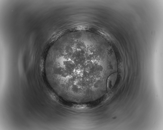 X0000087010554200704301420