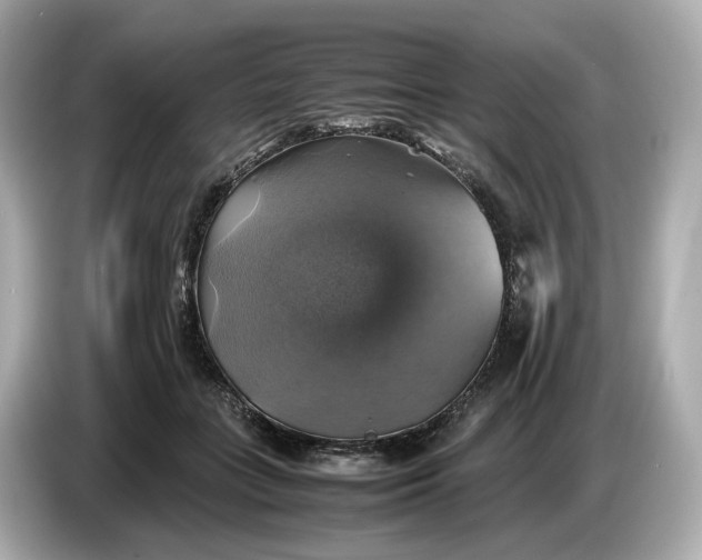 X0000087010555200704301420