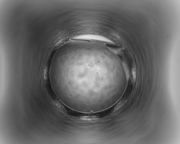 X0000087010556200704301420