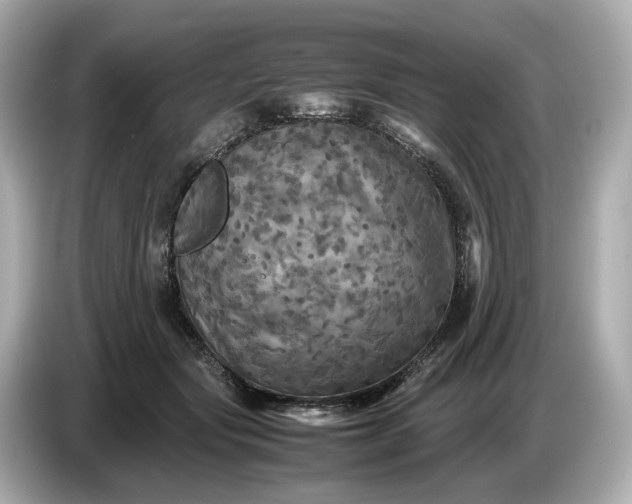 X0000087010557200704301420