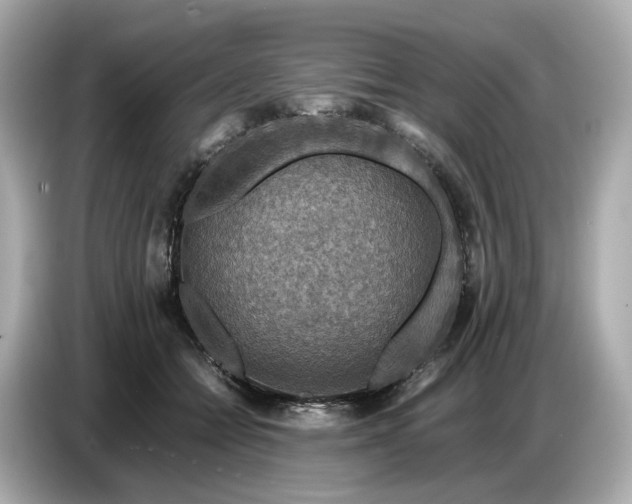 X0000087010558200704301420