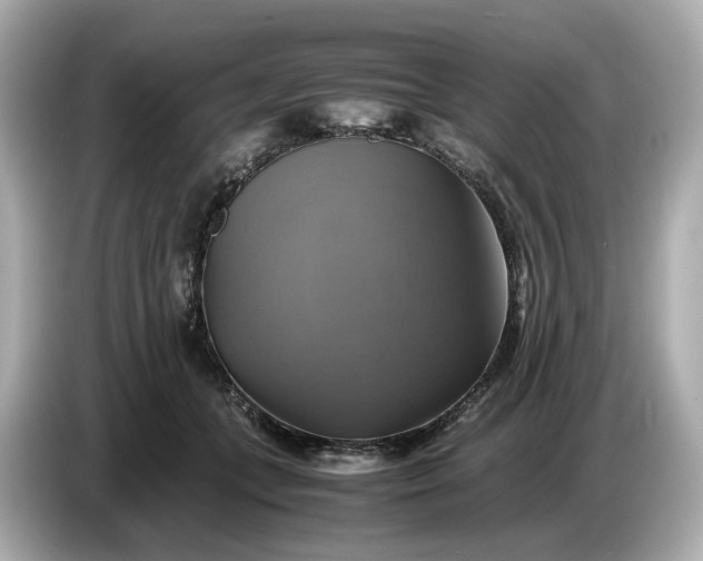 X0000087010559200704301420