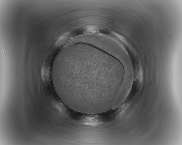 X0000087010560200704301420