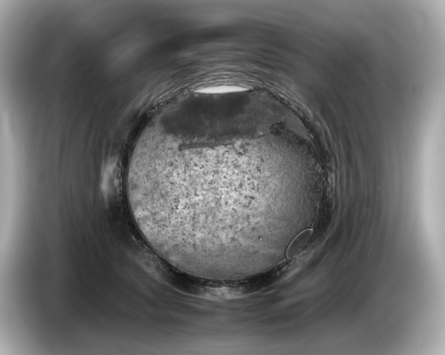 X0000087010561200704301420