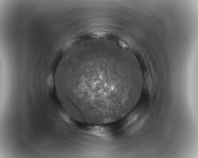 X0000087010562200704301420