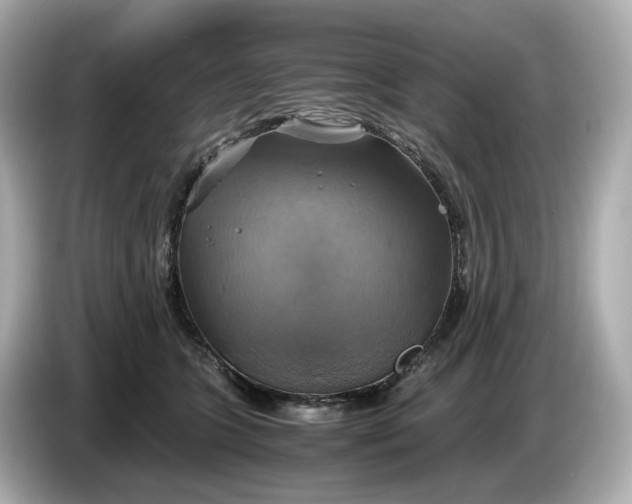 X0000087010563200704301420