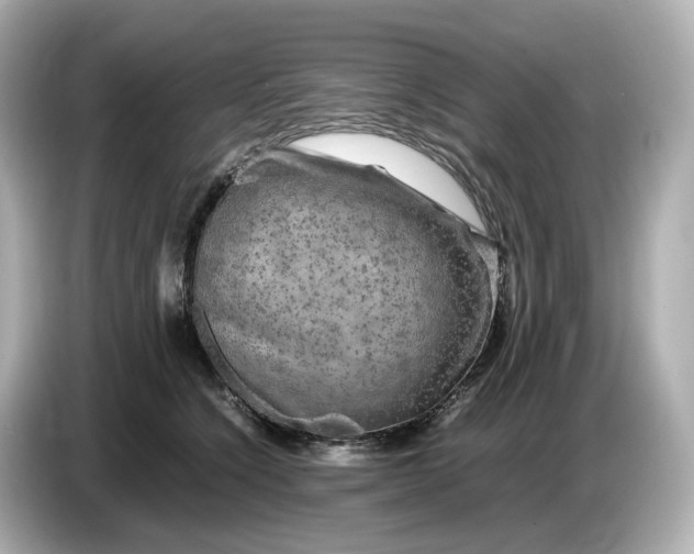 X0000087010564200704301420