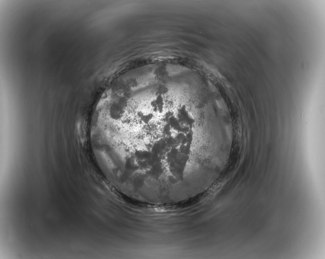 X0000087010565200704301420