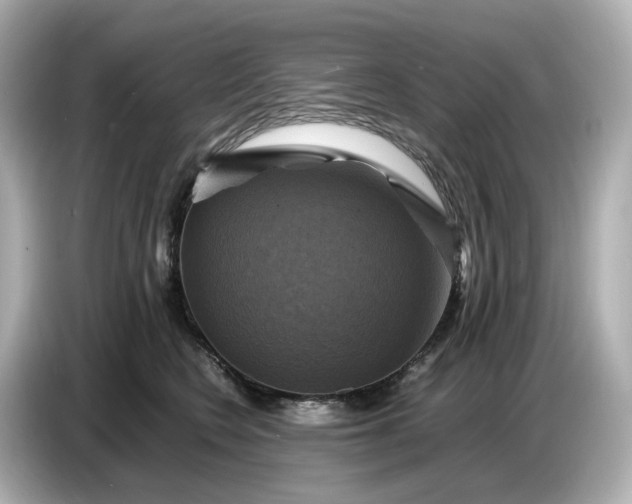 X0000087010566200704301420