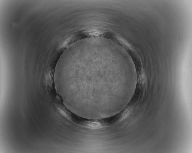 X0000087010572200704301420