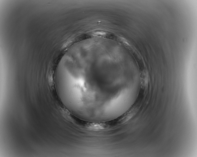 X0000087010573200704301420