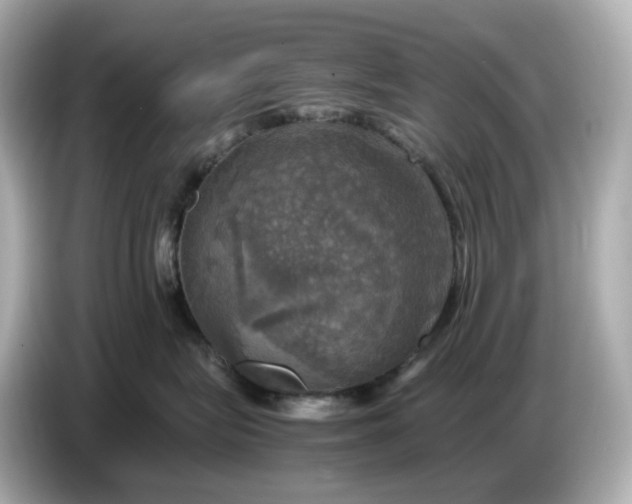 X0000087010575200704301420