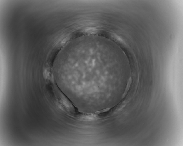 X0000087010576200704301420