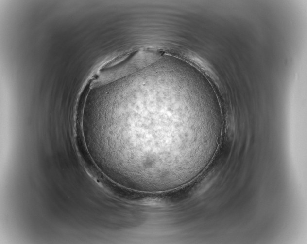 X0000087010578200704301419