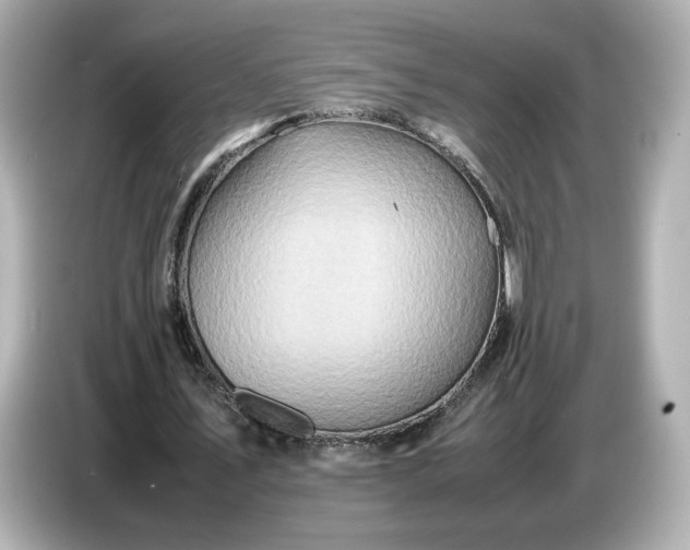 X0000087010579200704301419