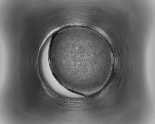 X0000087010580200704301419