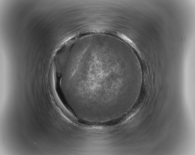 X0000087010581200704301419