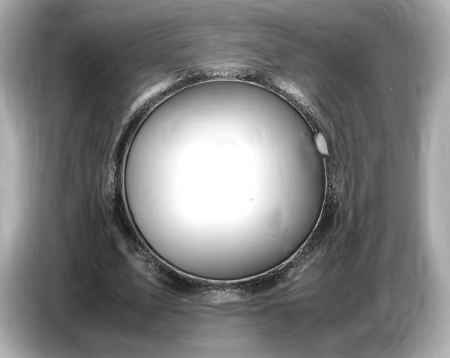 X0000087010583200704301419