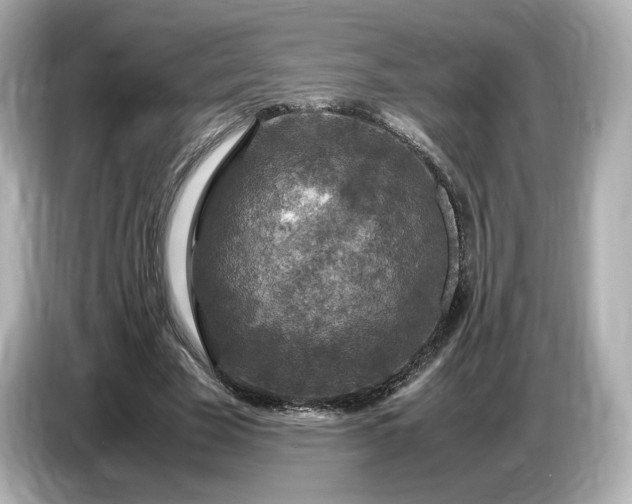 X0000087010585200704301419