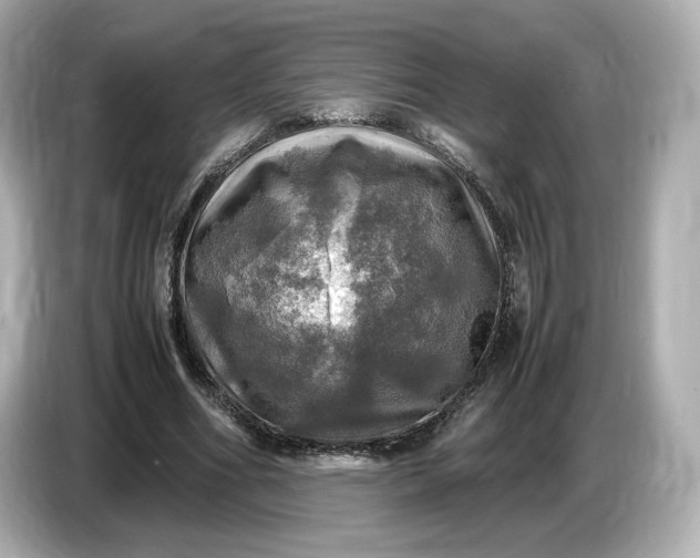 X0000087010586200704301419