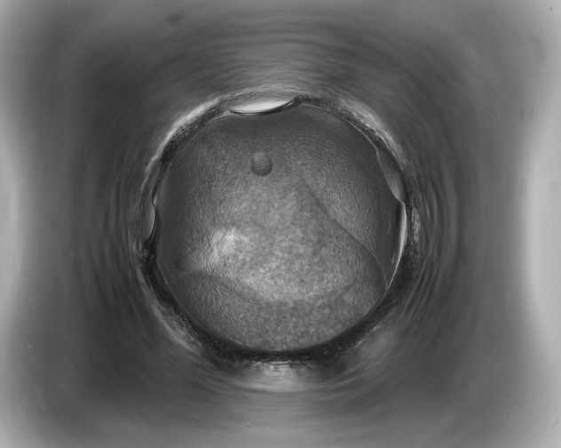 X0000087010588200704301419