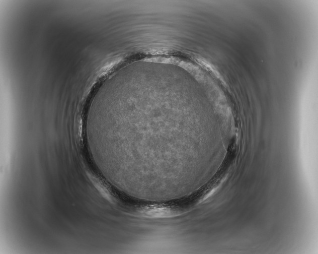 X0000087010589200704301419