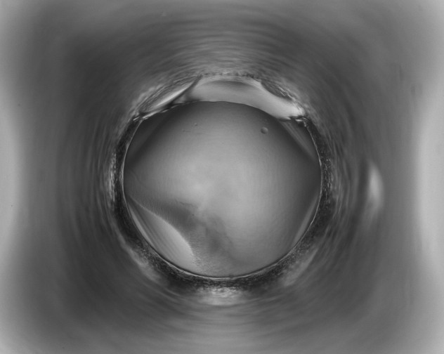 X0000087010590200704301419