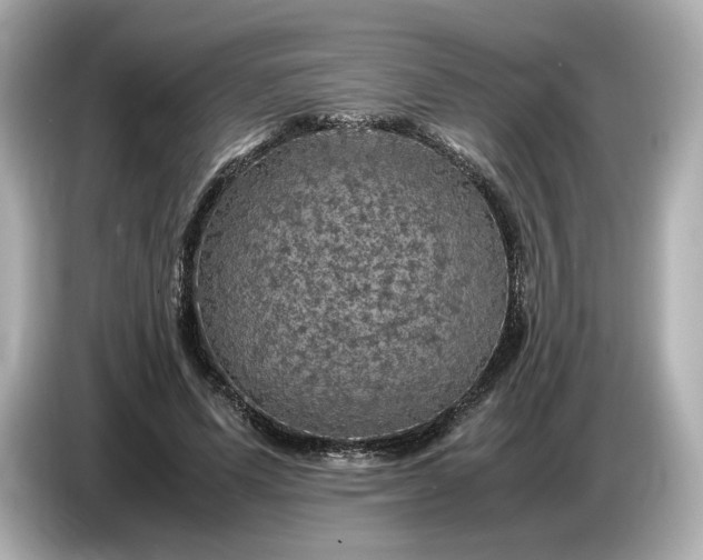 X0000087010591200704301419