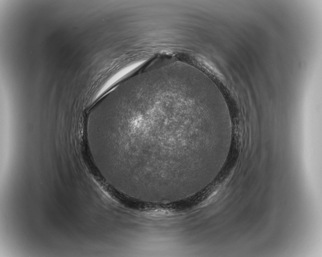 X0000087010593200704301419