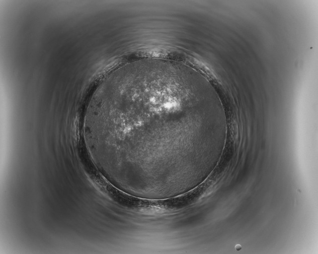 X0000087010594200704301419