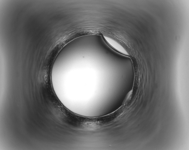 X0000087010595200704301419