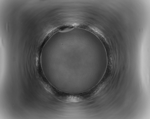 X0000087010596200704301419