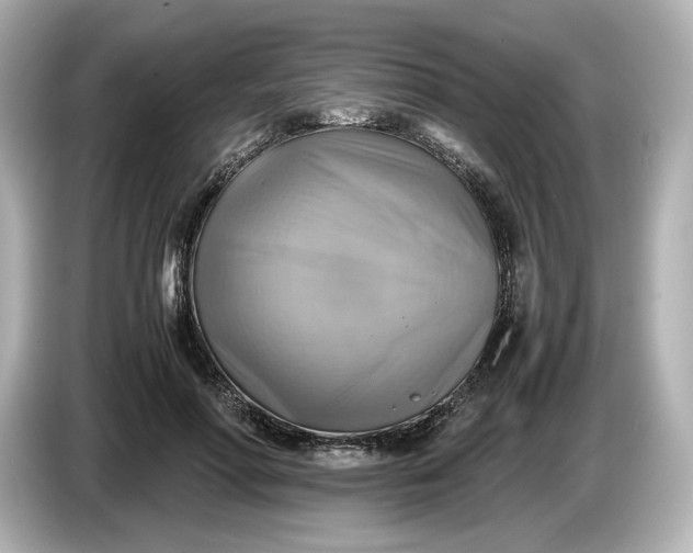 X0000087010598200704301419