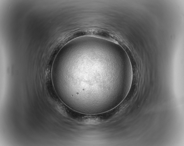 X0000087010601200704301419