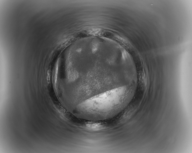 X0000087010602200704301419