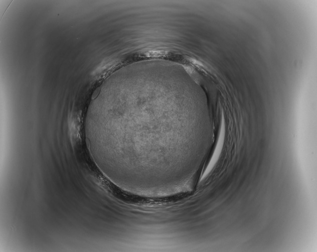 X0000087010604200704301419