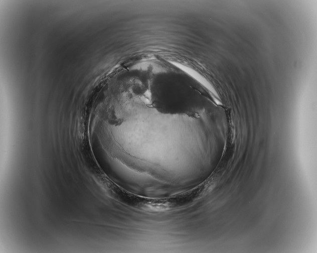 X0000087010606200704301419