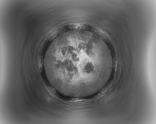 X0000087010607200704301419