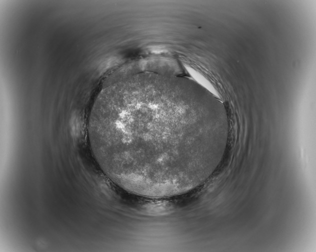 X0000087010609200704301419