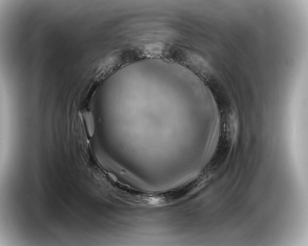 X0000087010610200704301419