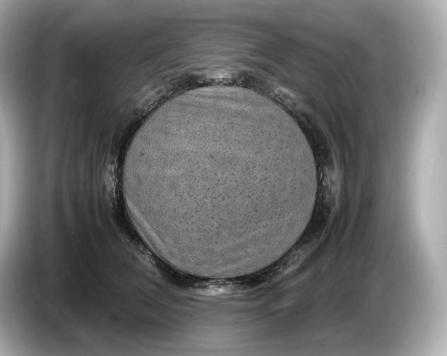 X0000087010612200704301419