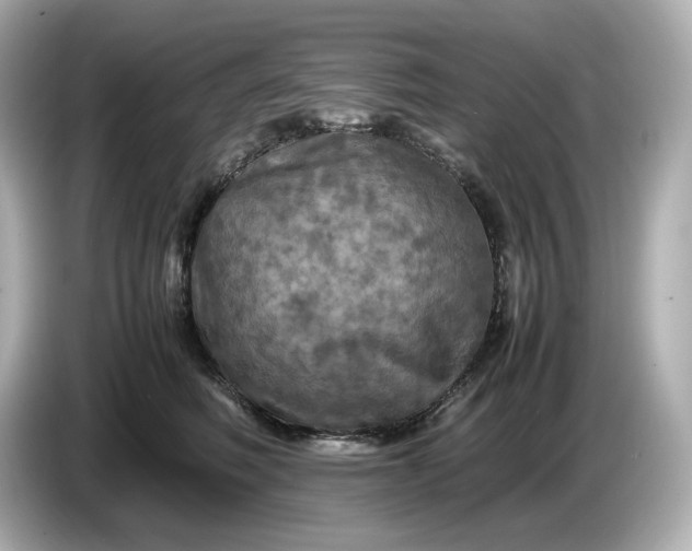 X0000087010614200704301419