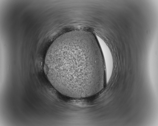 X0000087010615200704301419