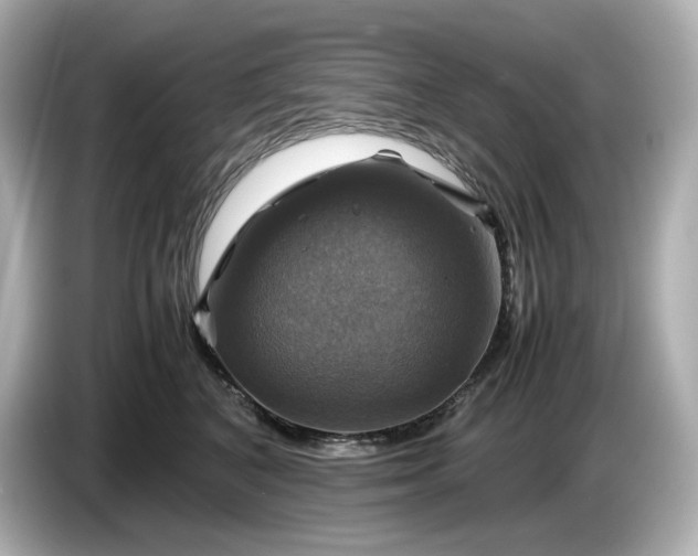 X0000087010616200704301419