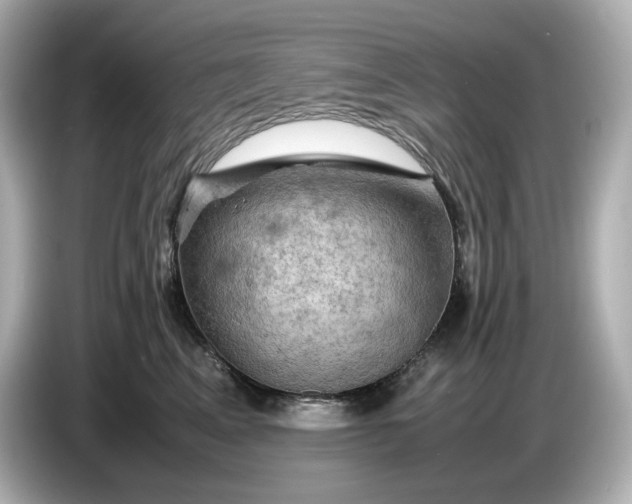 X0000087010617200704301419