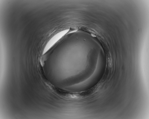 X0000087010618200704301419