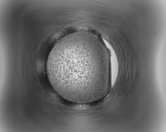 X0000087010619200704301419