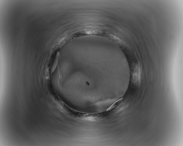 X0000087010620200704301419